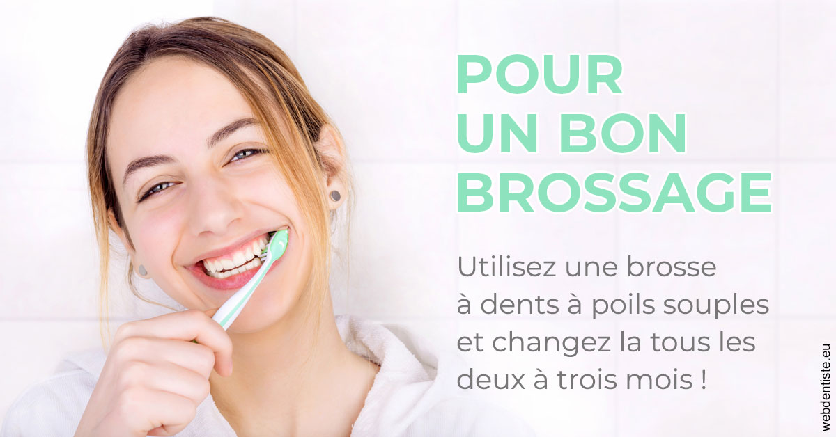 https://dr-bricout-anne-emmanuelle.chirurgiens-dentistes.fr/Pour un bon brossage 2