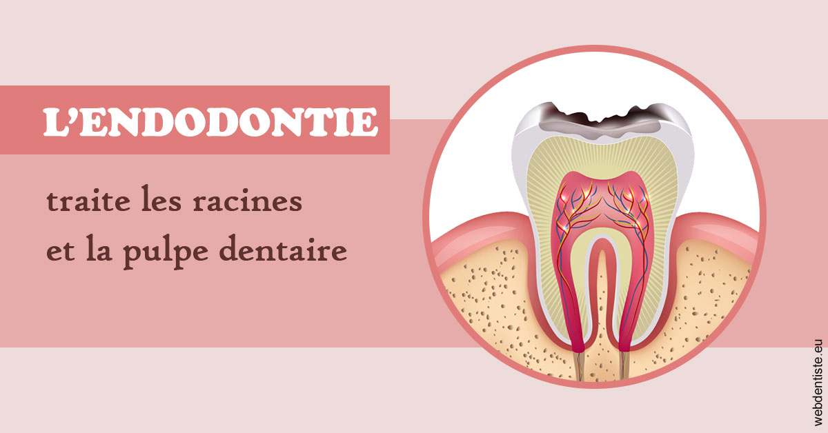 https://dr-bricout-anne-emmanuelle.chirurgiens-dentistes.fr/L'endodontie 2
