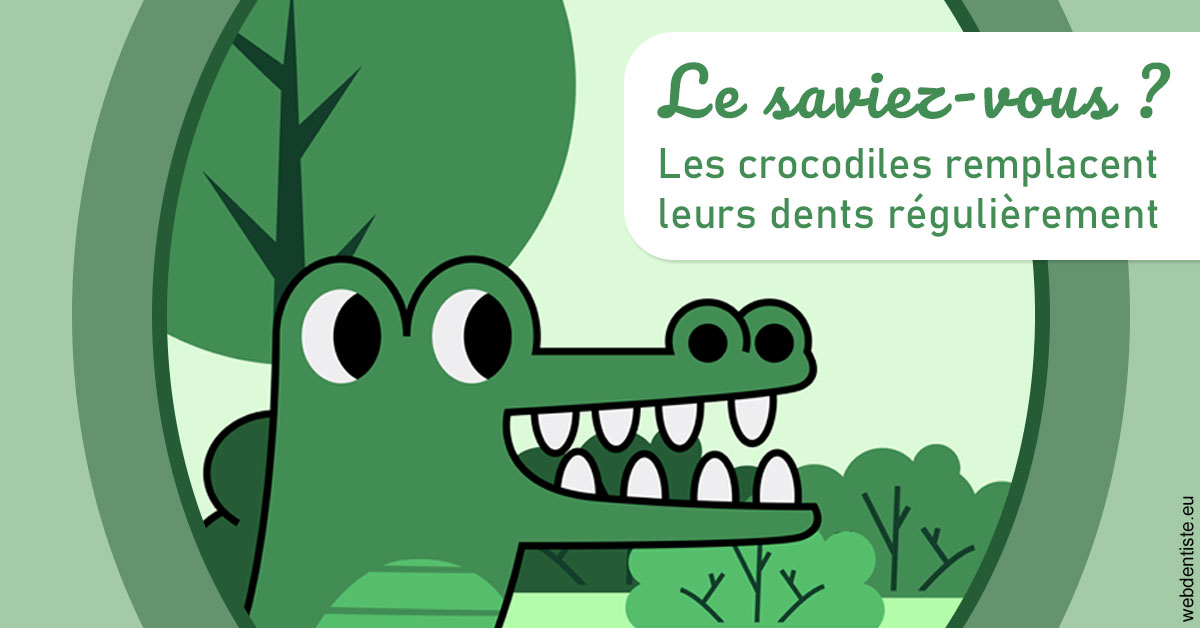 https://dr-bricout-anne-emmanuelle.chirurgiens-dentistes.fr/Crocodiles 2