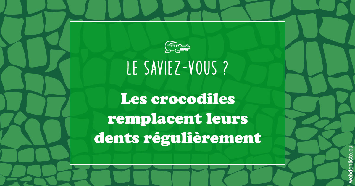 https://dr-bricout-anne-emmanuelle.chirurgiens-dentistes.fr/Crocodiles 1
